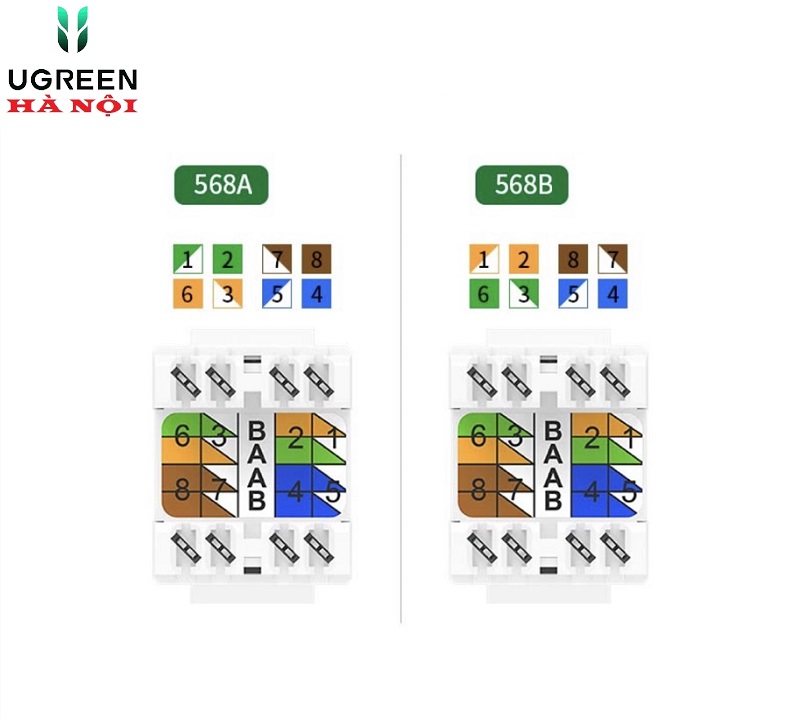 80449 Nhân ổ cắm mạng CAT5e Ugreen chụp trong